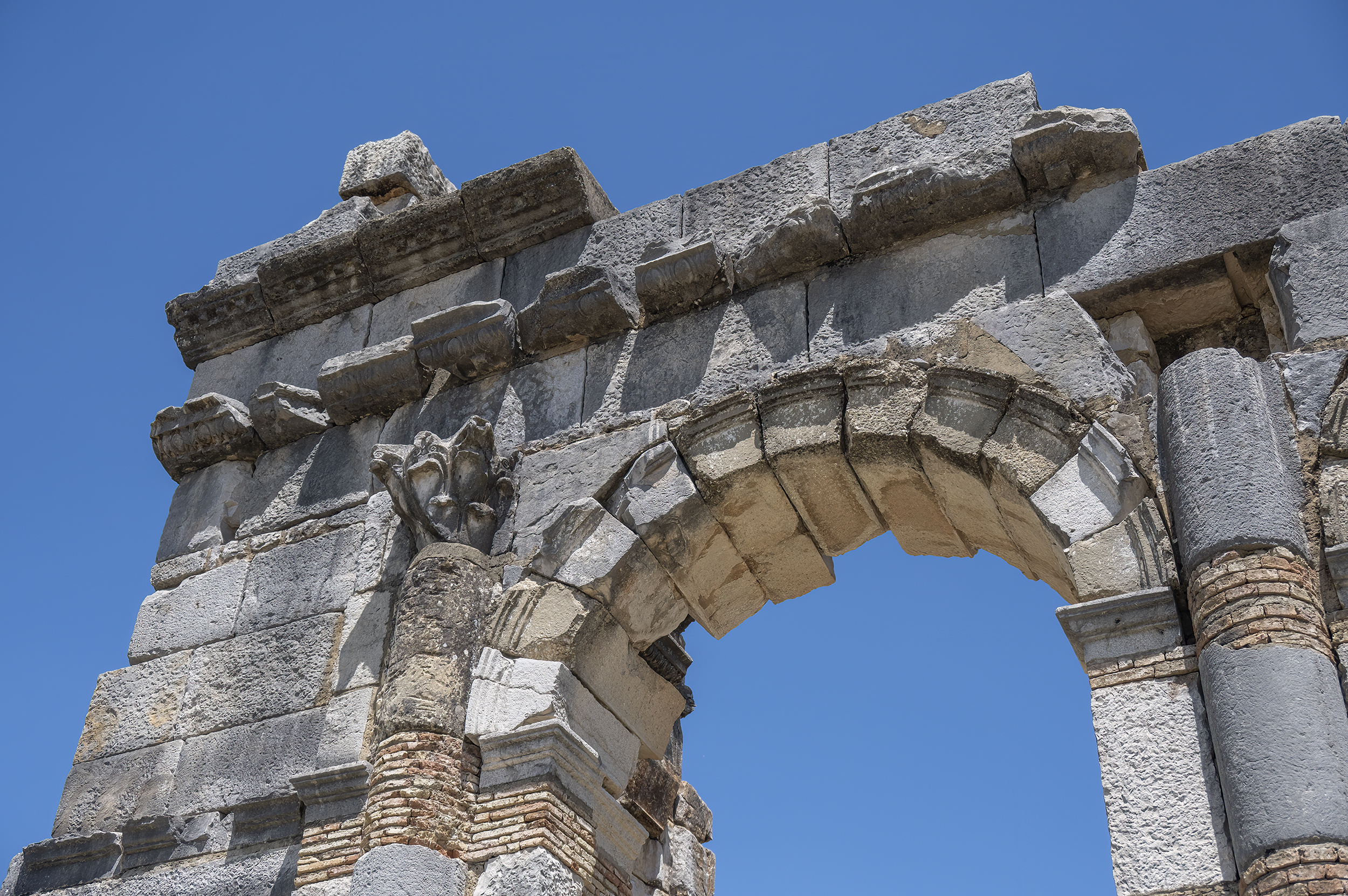 Volbris Volubilis – The Carefree Photographer