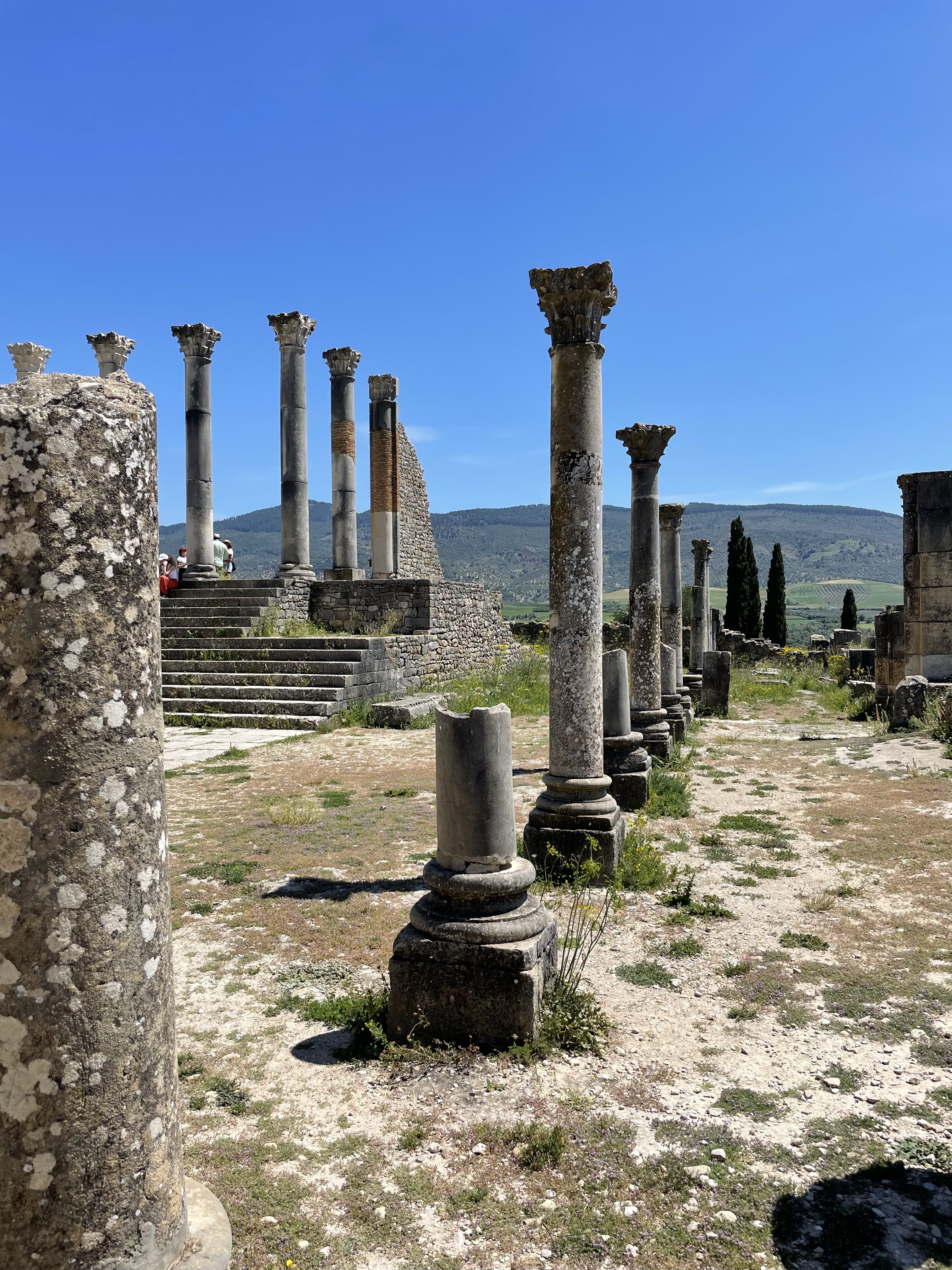 Volbris Volubilis – The Carefree Photographer